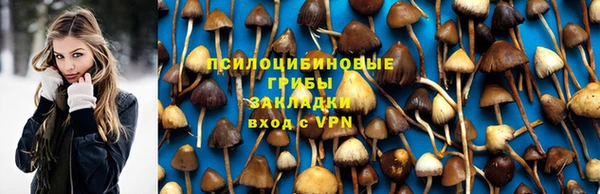ECSTASY Алексеевка