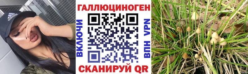 дарк нет как зайти  Лукоянов  Галлюциногенные грибы мухоморы 